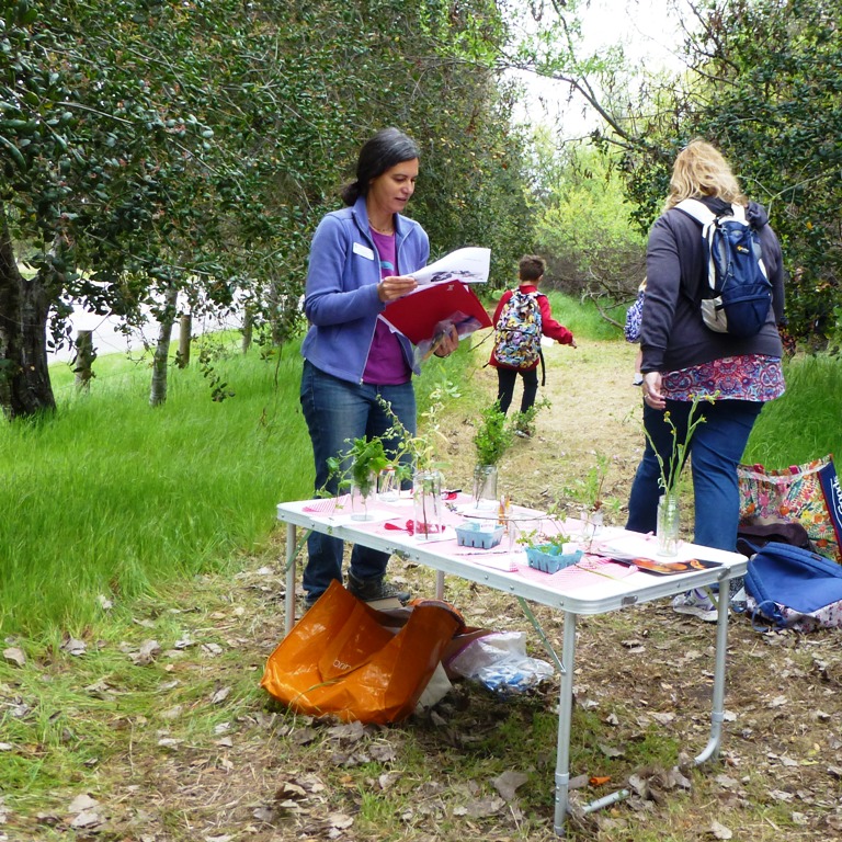 Susi Bernstein (CNPS-SLO) - Identification of Trees and Shrubs